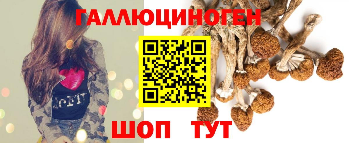 Дзержинский  Галлюциногенные грибы GOLDEN TEACHER  Галлюциногенные грибы Cubensis  купить закладку  Вход с VPN 