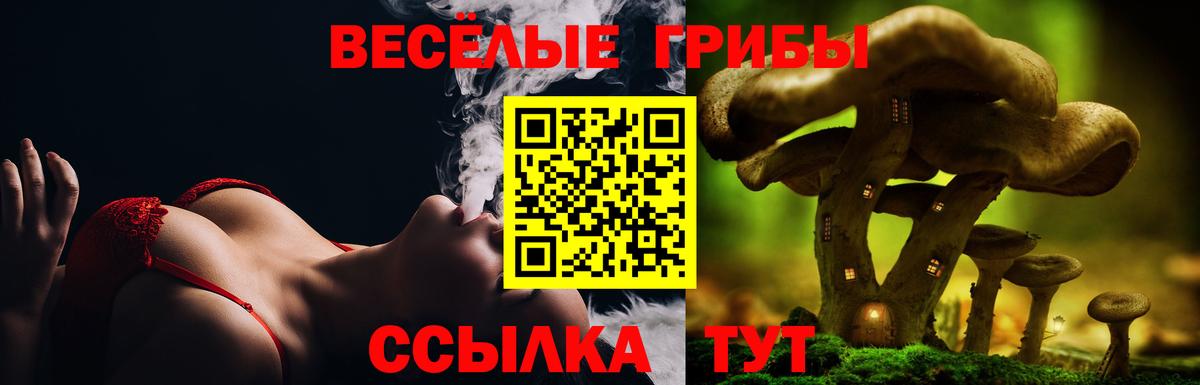 Псилоцибиновые грибы мицелий Дзержинский